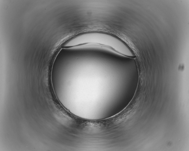 X0000090770442200708101813