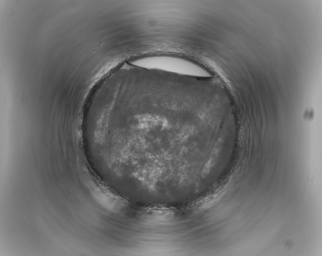 X0000090770443200708101813