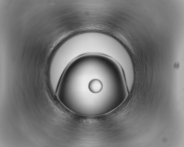 X0000090770444200708101813