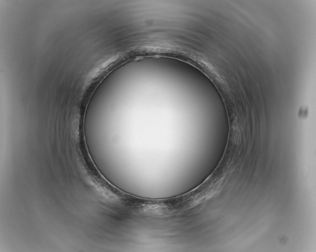 X0000090770446200708101813