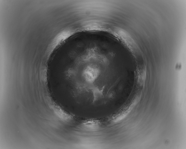 X0000090770447200708101813