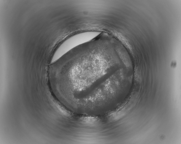 X0000090770449200708101813