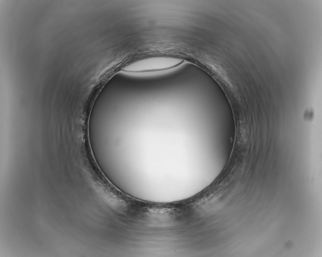 X0000090770450200708101813