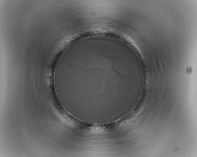 X0000090770451200708101813
