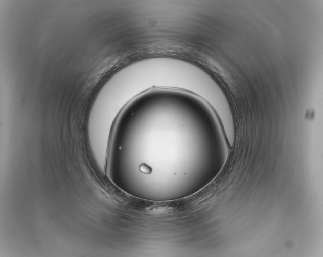 X0000090770452200708101814