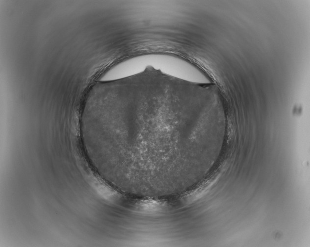X0000090770453200708101814