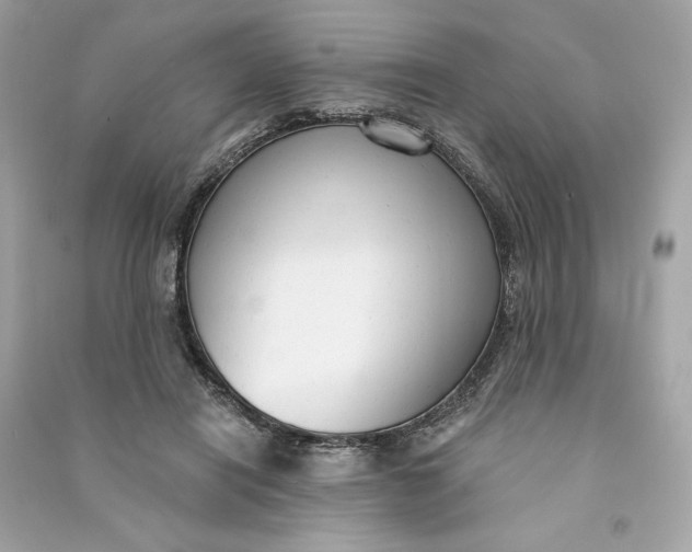 X0000090770454200708101814