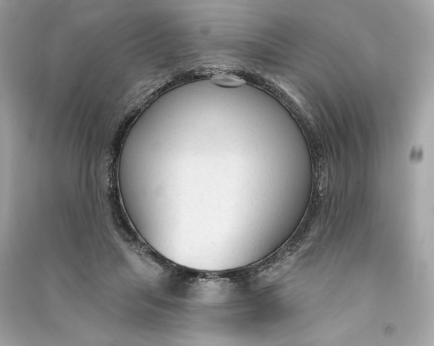 X0000090770455200708101814