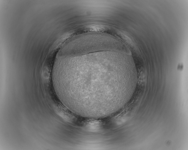 X0000090770456200708101814