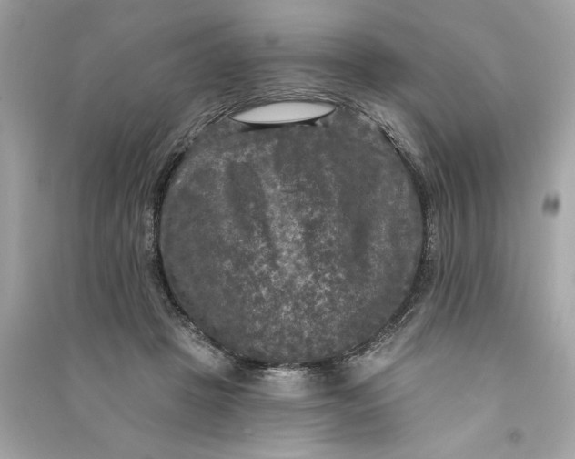 X0000090770457200708101814