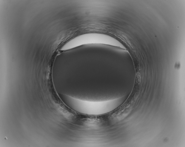 X0000090770458200708101814