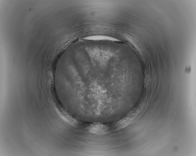 X0000090770459200708101814