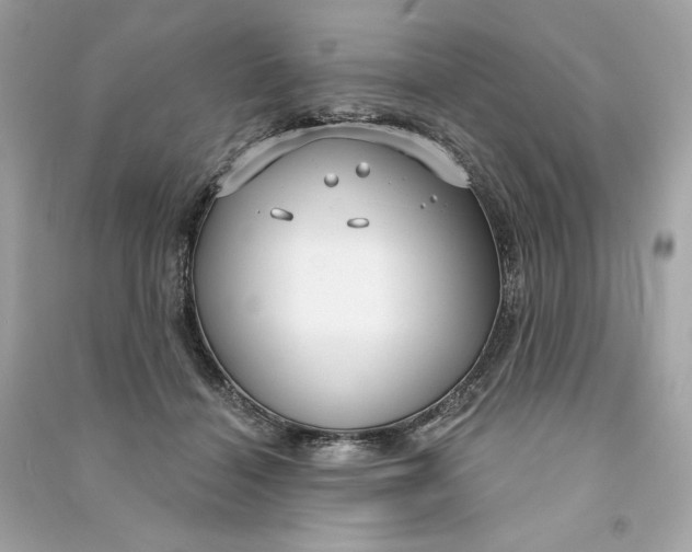 X0000090770460200708101814