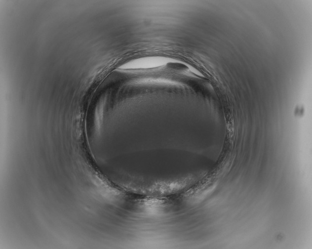 X0000090770462200708101814