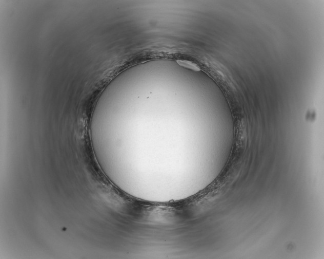 X0000090770463200708101814