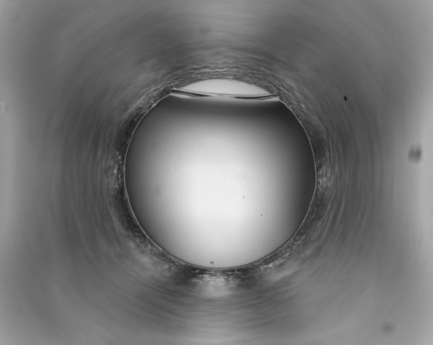 X0000090770464200708101814