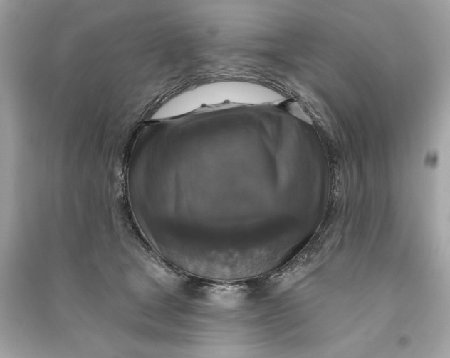 X0000090770465200708101814