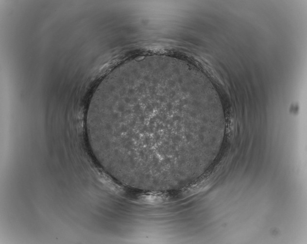 X0000090770466200708101814