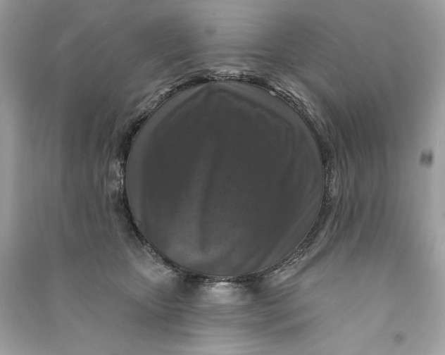 X0000090770467200708101814