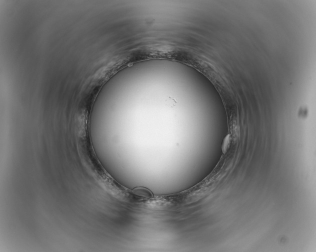 X0000090770468200708101814