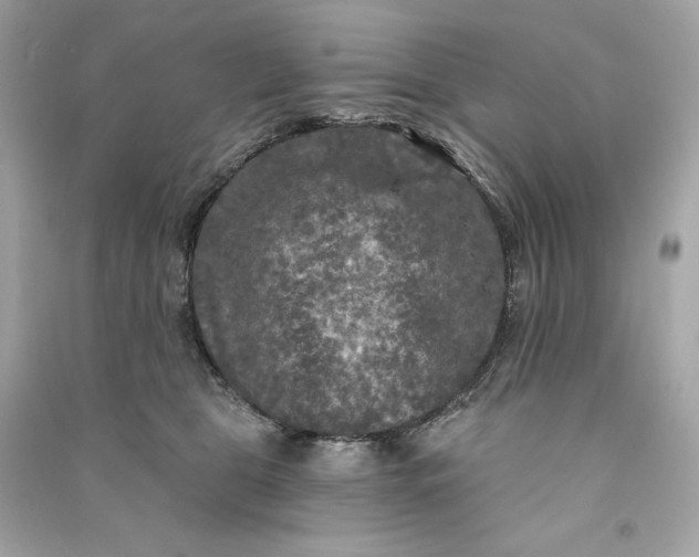X0000090770469200708101814