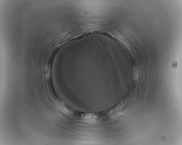 X0000090770471200708101814