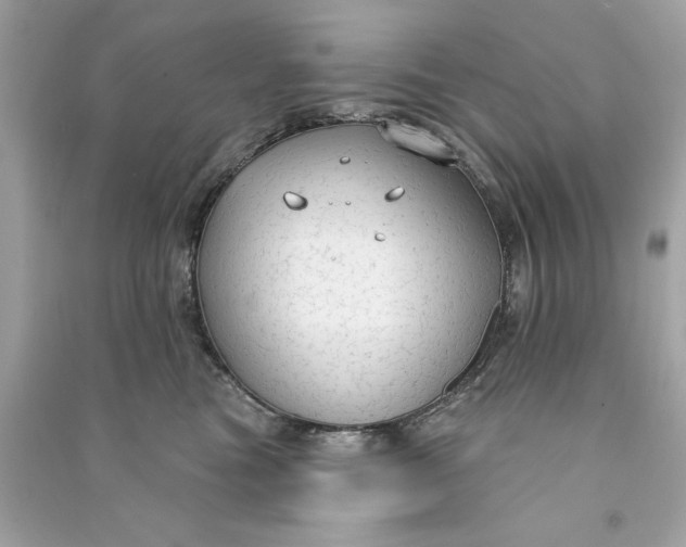 X0000090770473200708101814