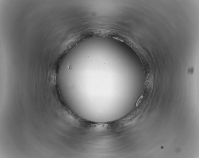 X0000090770474200708101814