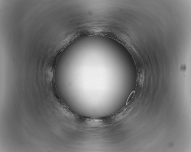 X0000090770476200708101814