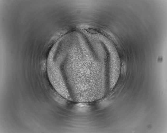 X0000090770477200708101814