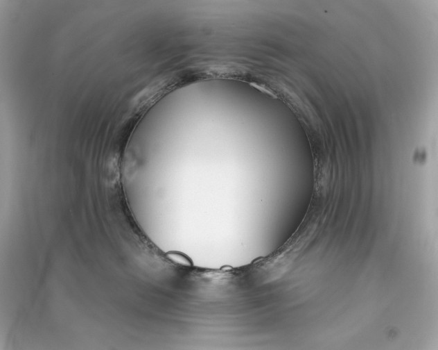 X0000090770478200708101814
