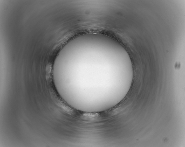 X0000090770480200708101814