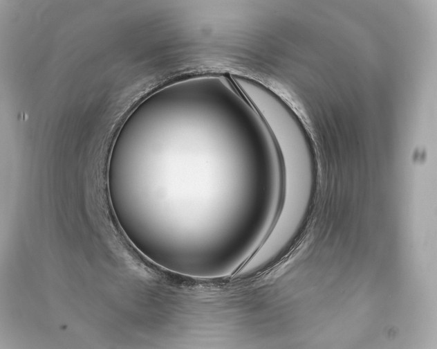 X0000090770481200708101813