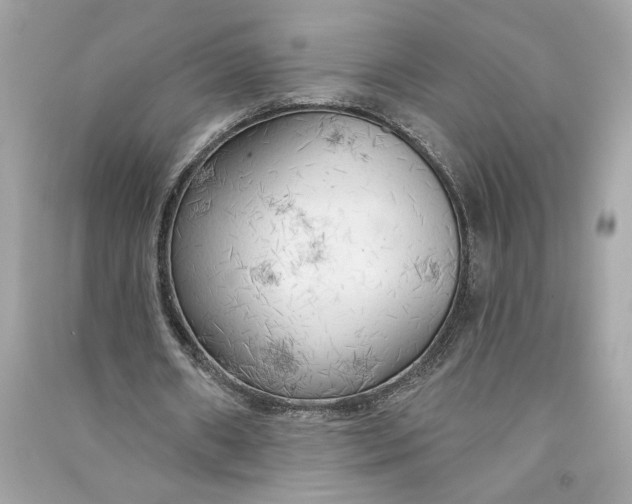X0000090770482200708101813