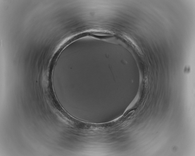X0000090770484200708101813