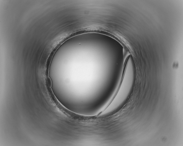 X0000090770485200708101813