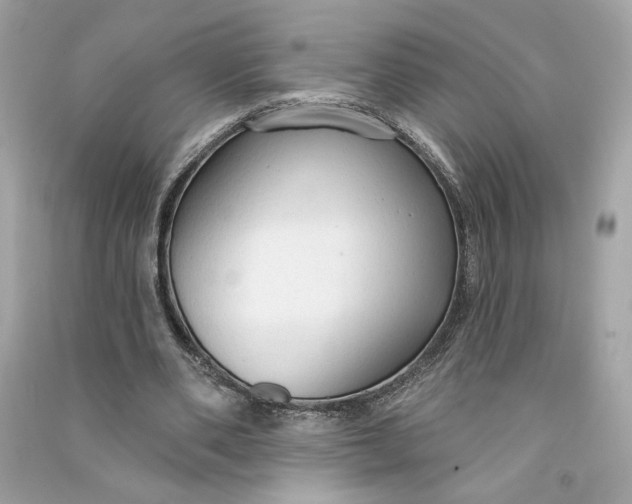 X0000090770486200708101813