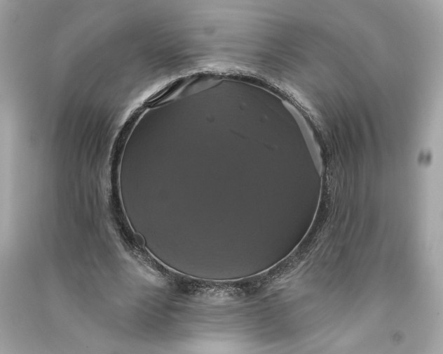 X0000090770488200708101813