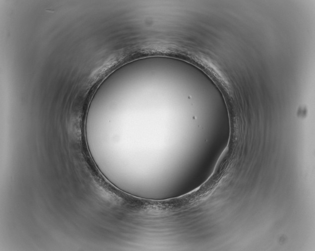 X0000090770489200708101813