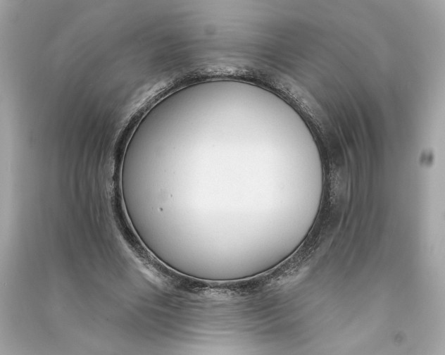 X0000090770490200708101813