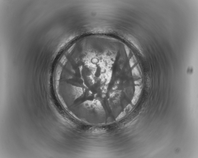 X0000090770491200708101813