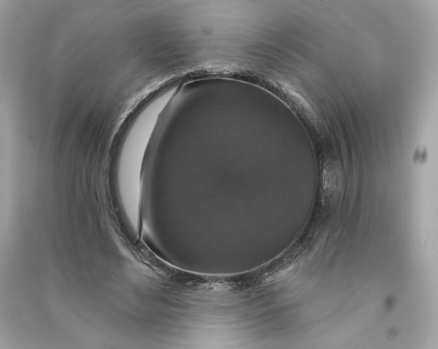 X0000090770492200708101813