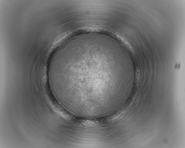 X0000090770494200708101813