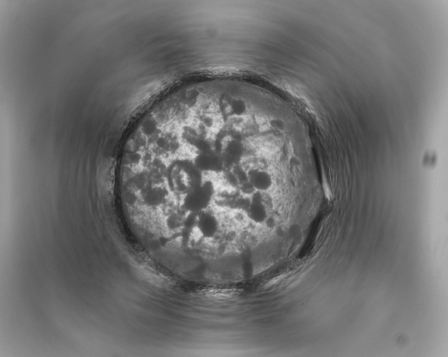 X0000090770495200708101813