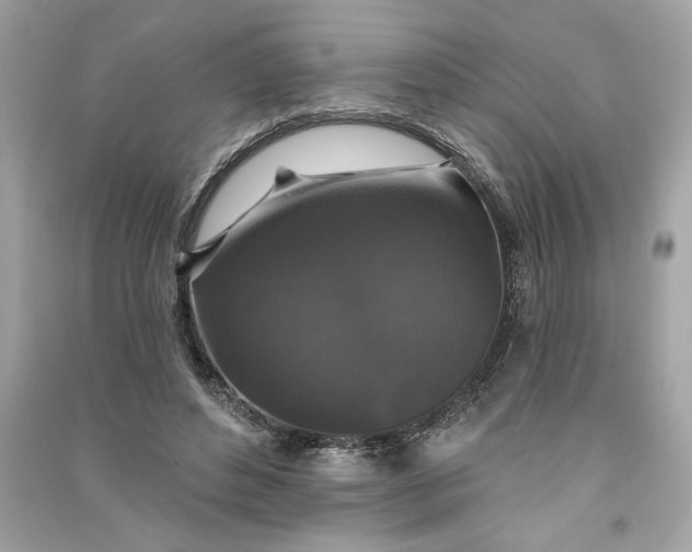 X0000090770496200708101813