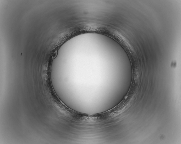 X0000090770497200708101813