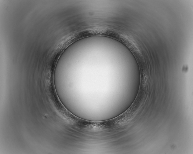 X0000090770498200708101813