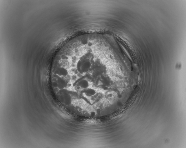 X0000090770499200708101813