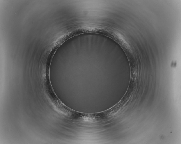 X0000090770500200708101813