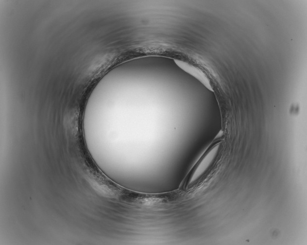 X0000090770501200708101813